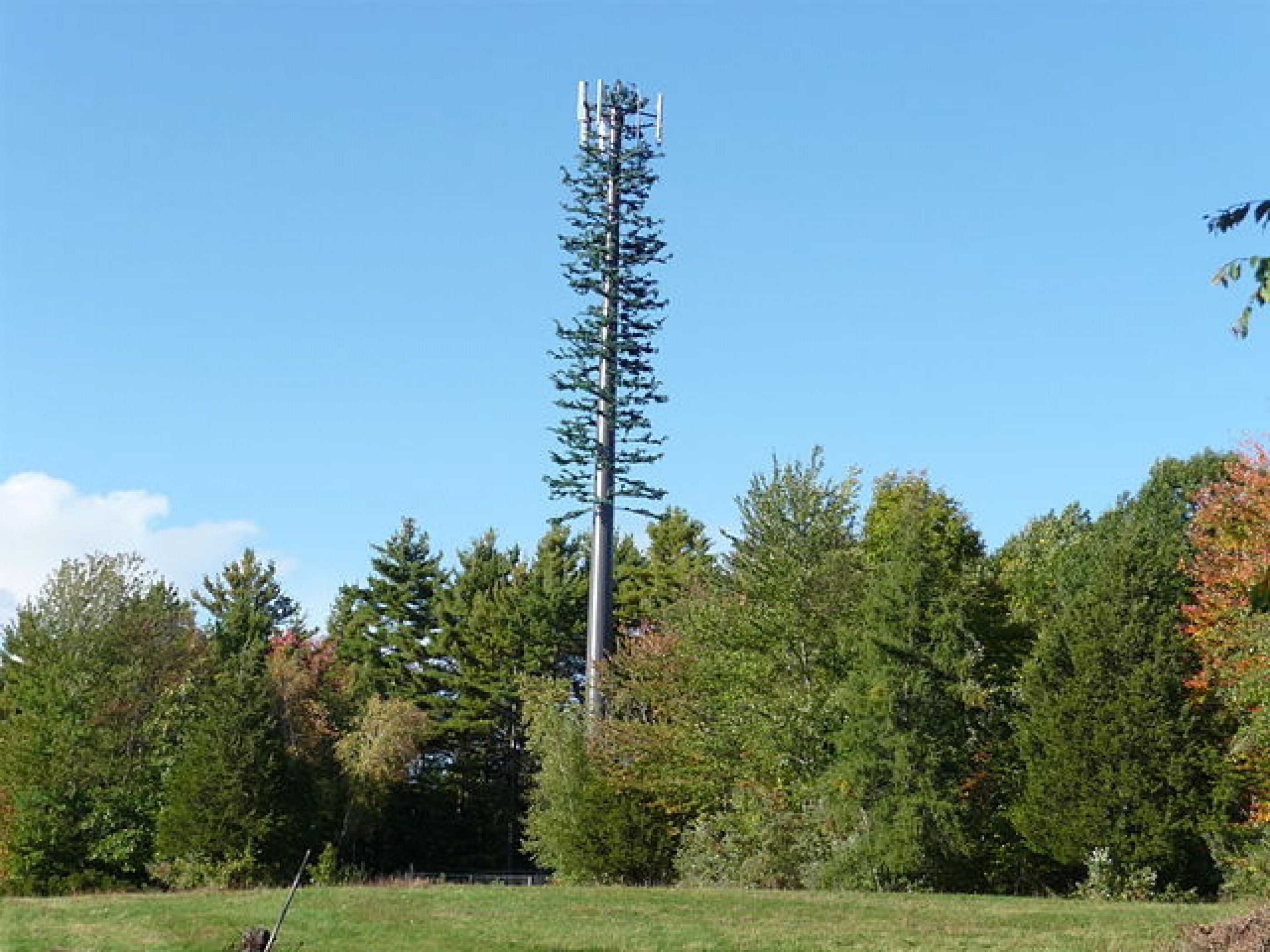 Fig. 3: Cell phone tower cleverly disguised to look like an evergreen tree. Located in New Hampshire.
